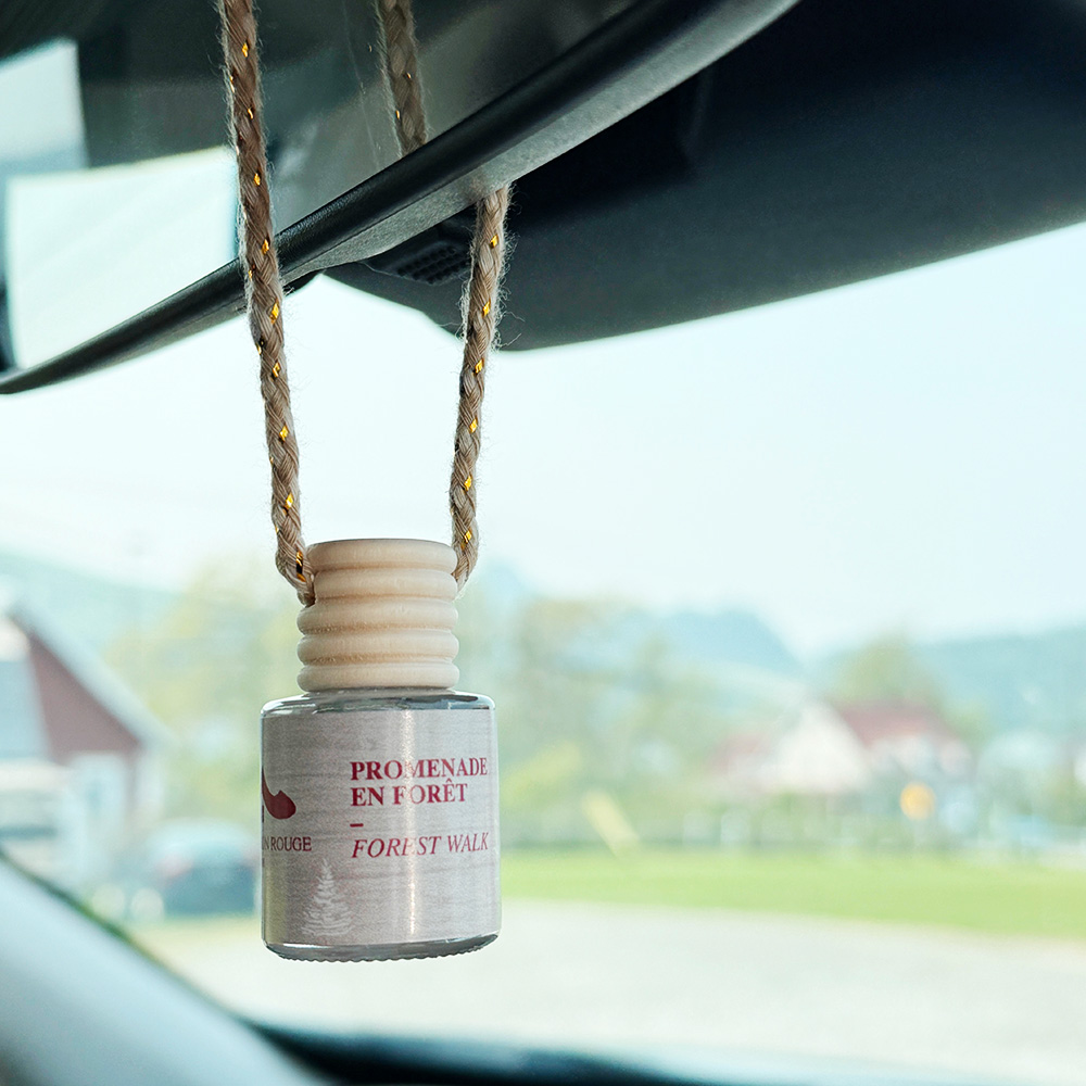 Diffuseur pour voiture promenade en forêt